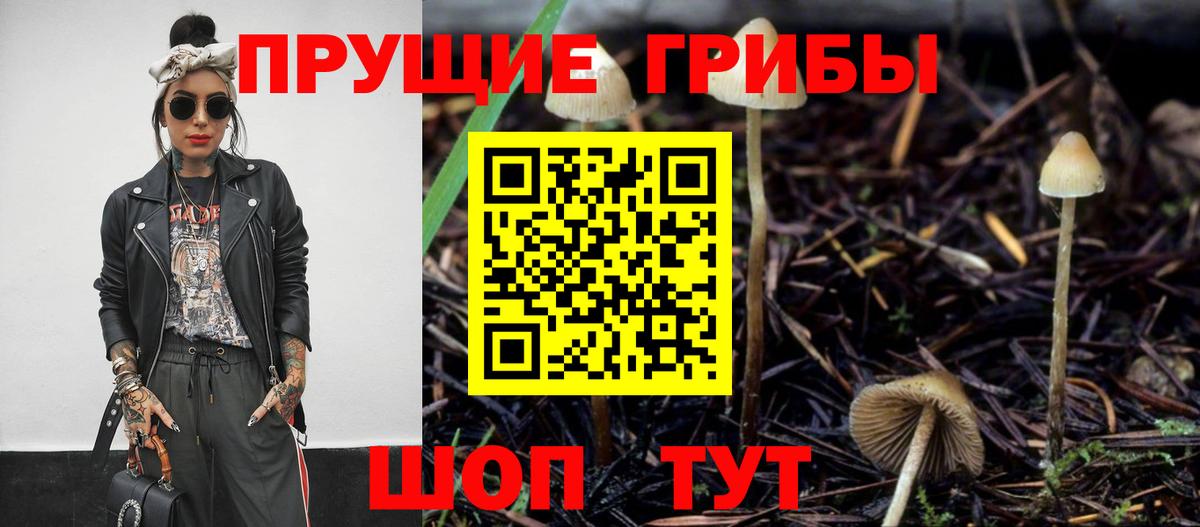 дарнет шоп  Галлюциногенные грибы мухоморы  Ногинск  Вход с VPN  Галлюциногенные грибы мухоморы 